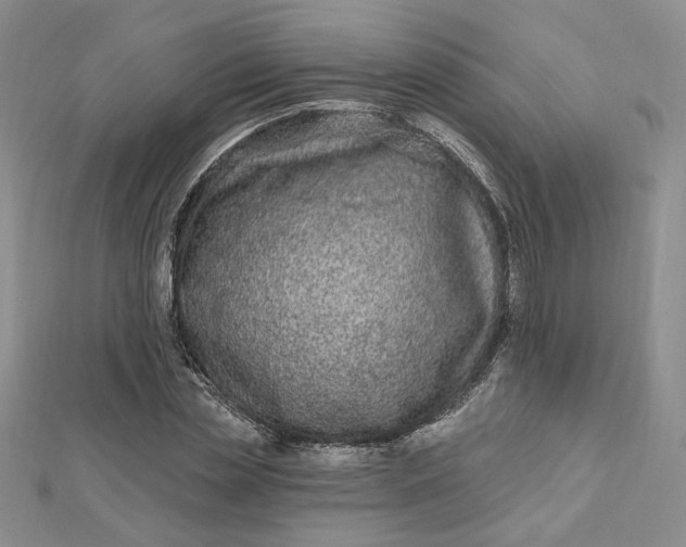 X0000112800829200909041431