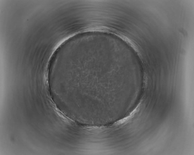 X0000112800830200909041431