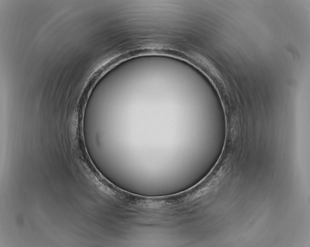 X0000112800831200909041431
