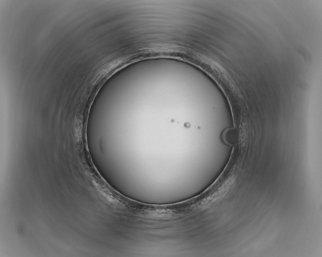 X0000112800833200909041431