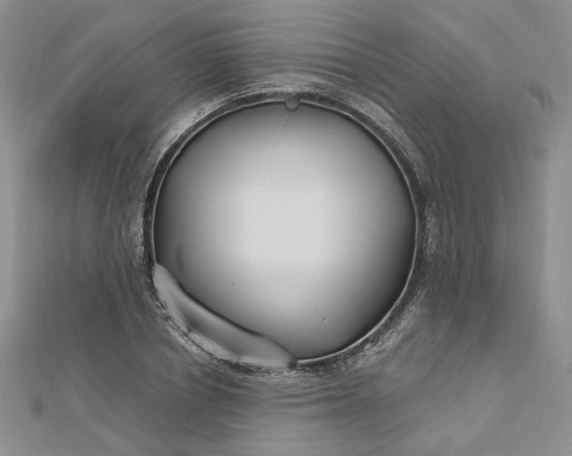 X0000112800834200909041431