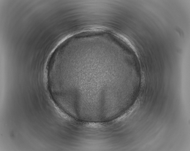 X0000112800835200909041431