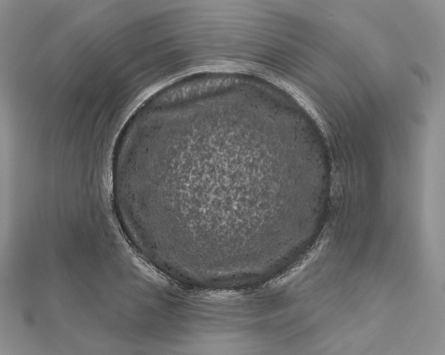 X0000112800837200909041431