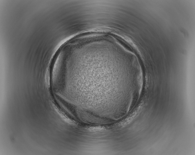 X0000112800838200909041431