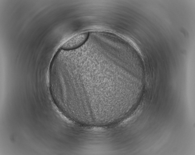 X0000112800839200909041431