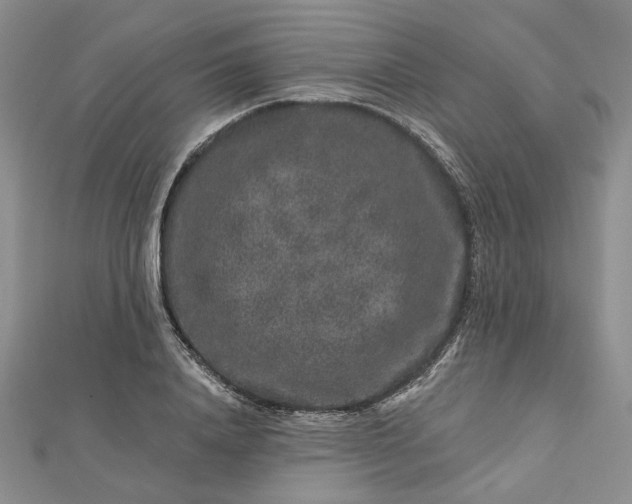X0000112800840200909041431