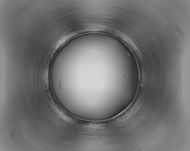X0000112800842200909041431