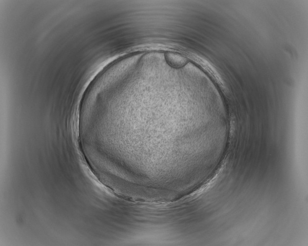 X0000112800844200909041431