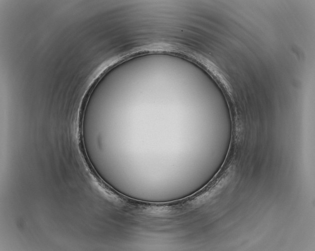 X0000112800845200909041431