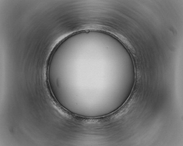 X0000112800846200909041431