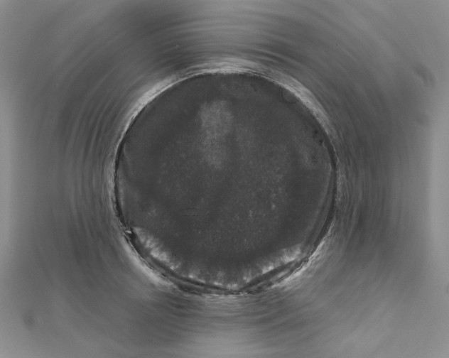 X0000112800850200909041431