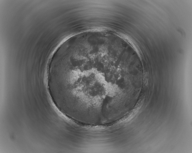 X0000112800851200909041431