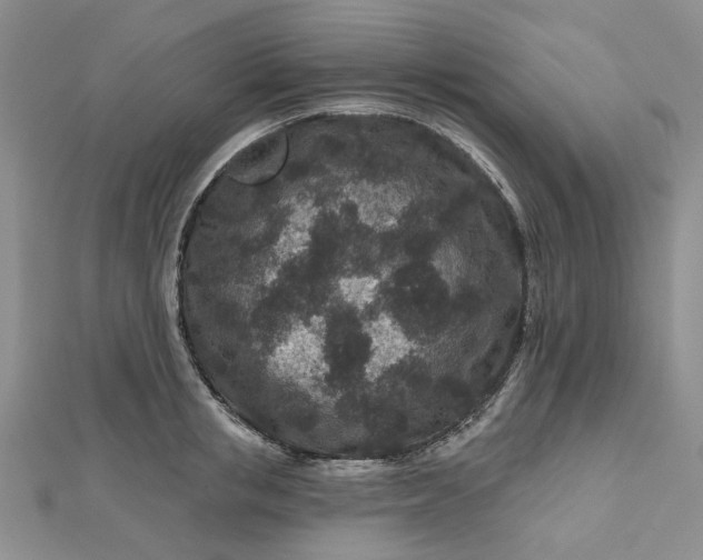 X0000112800853200909041431