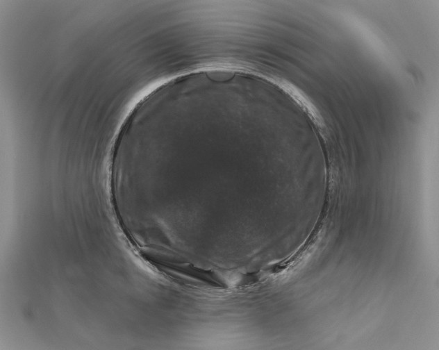 X0000112800854200909041431