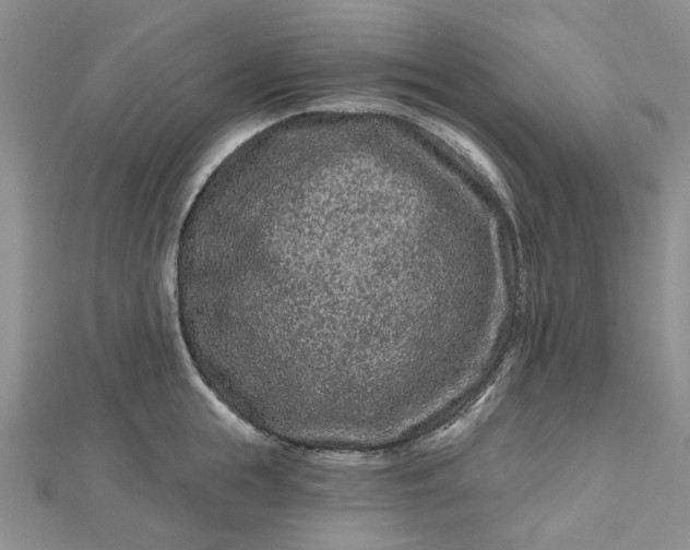 X0000112800855200909041431