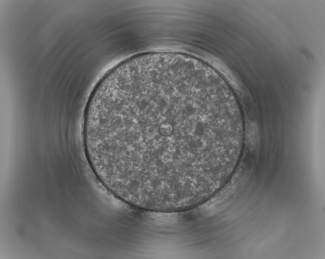 X0000112800856200909041431