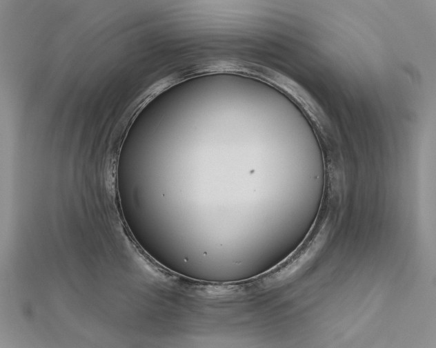 X0000112800857200909041431