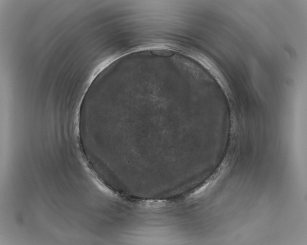X0000112800858200909041431