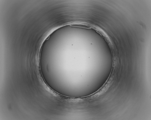 X0000112800860200909041431