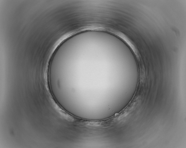 X0000112800861200909041431