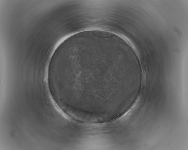 X0000112800862200909041431