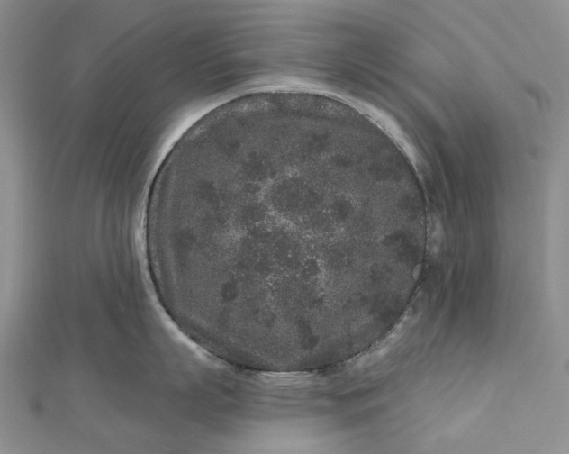 X0000112800863200909041431