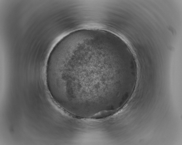 X0000112800864200909041431