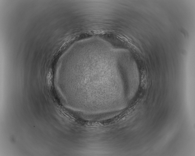 X0000112800866200909041431