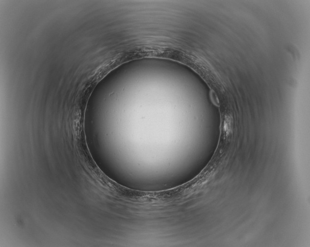 X0000112800867200909041431