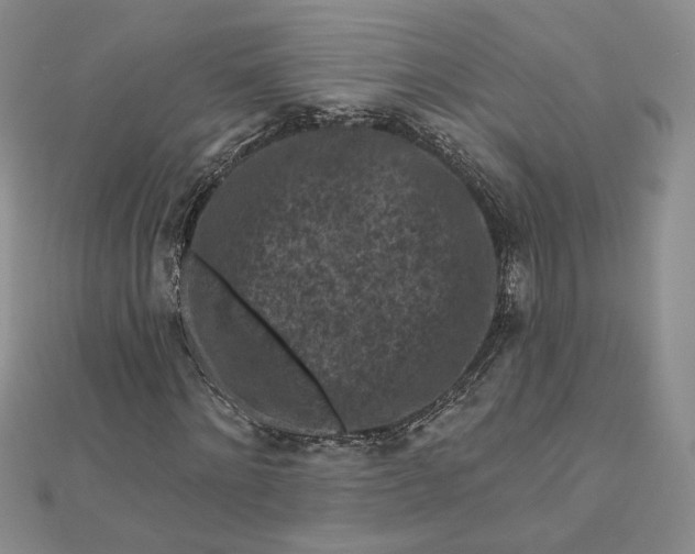 X0000112800868200909041431