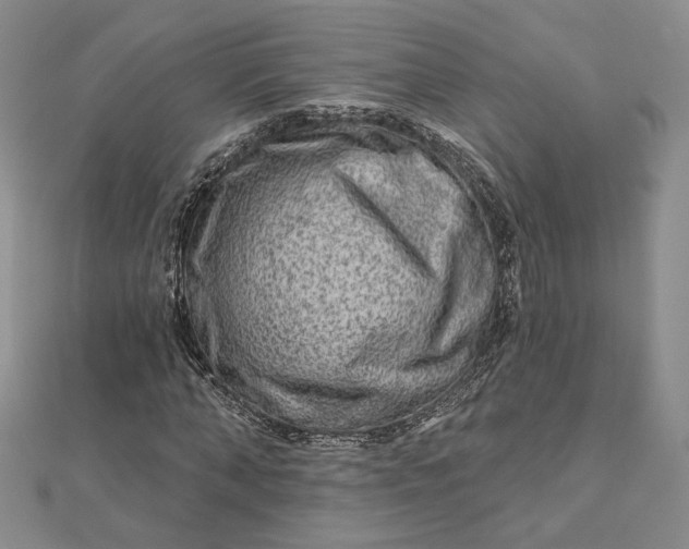 X0000112800870200909041430