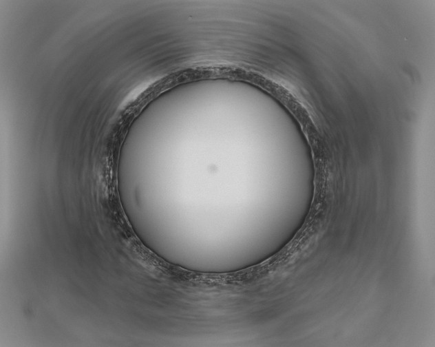 X0000112800871200909041430