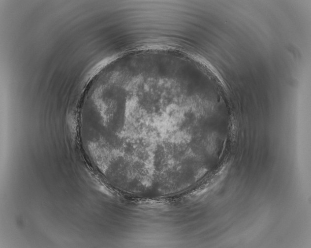 X0000112800874200909041430