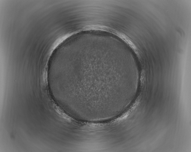 X0000112800877200909041430
