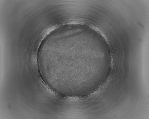X0000112800882200909041430
