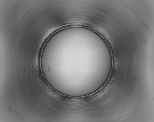 X0000112800883200909041430