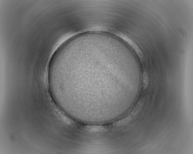 X0000112800886200909041430