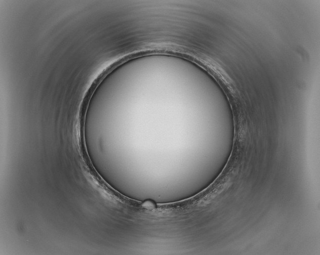 X0000112800888200909041430