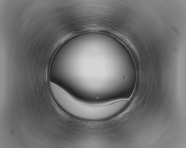 X0000112800889200909041430