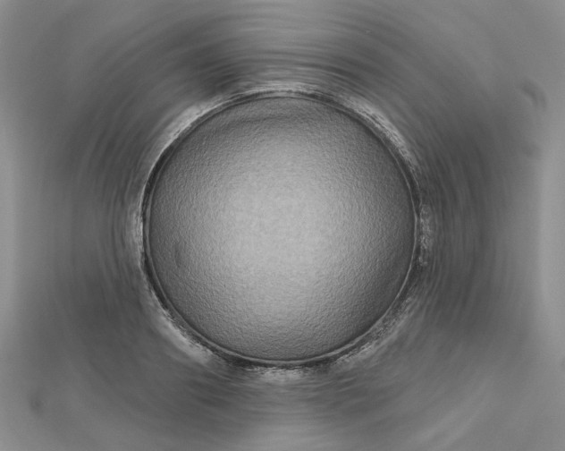 X0000112800890200909041430