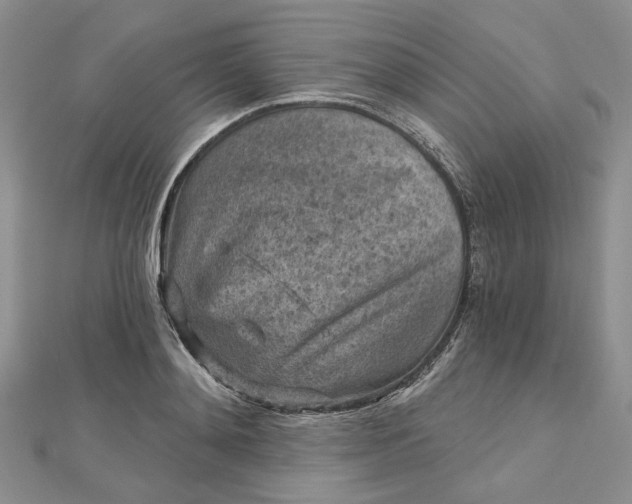 X0000112800892200909041430