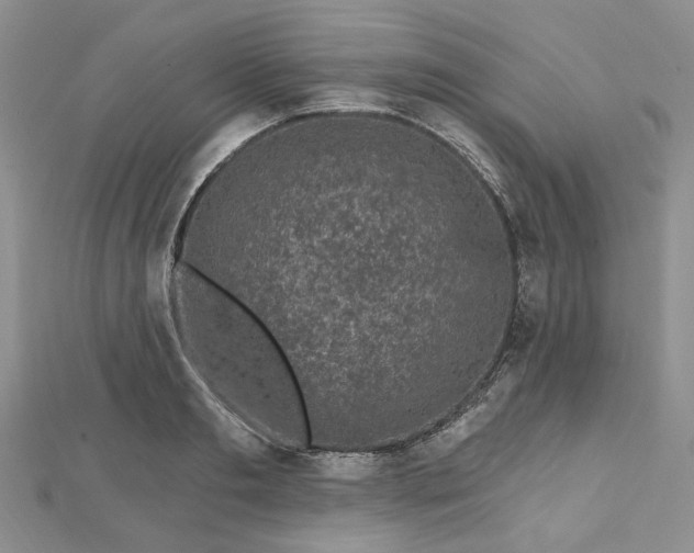 X0000112800893200909041430