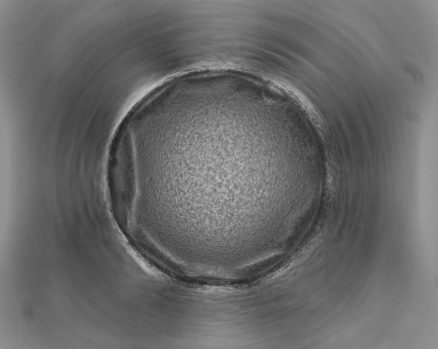 X0000112800894200909041430