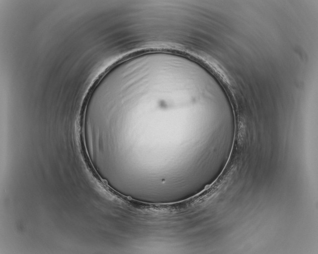 X0000112800895200909041430