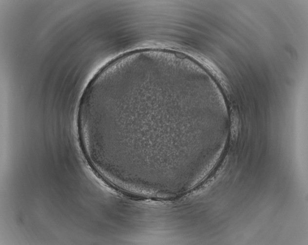 X0000112800896200909041430