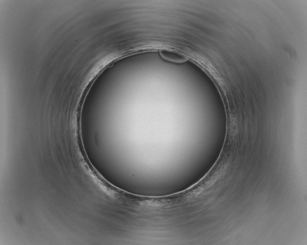 X0000112800898200909041430