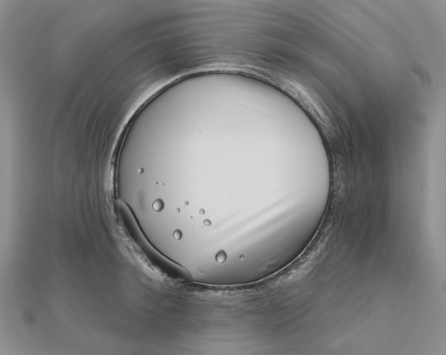 X0000112800900200909041430