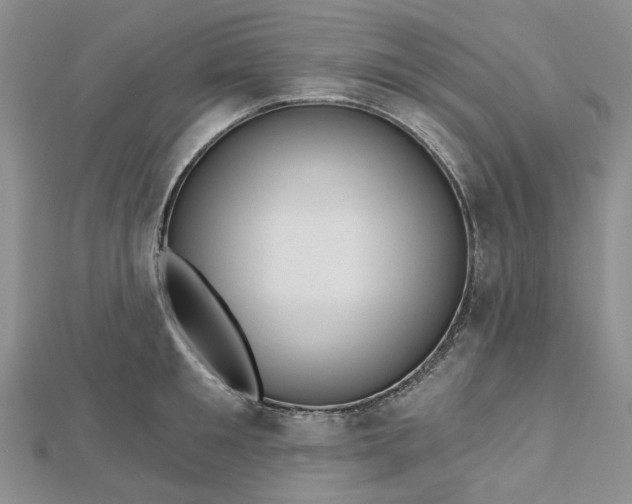 X0000112800901200909041430