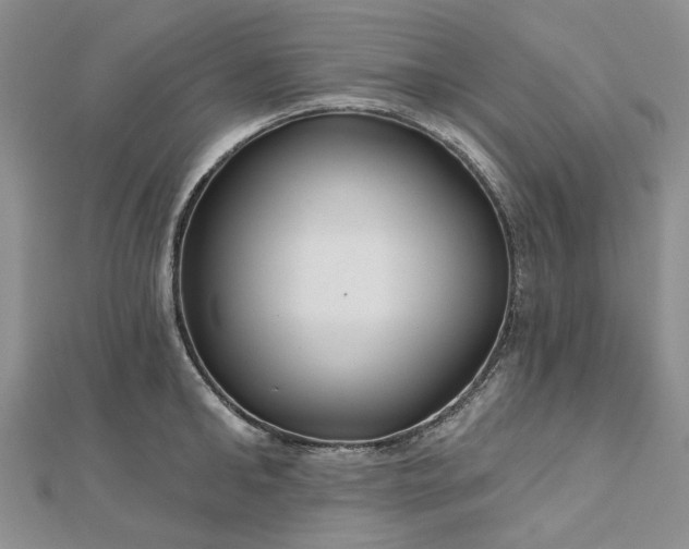 X0000112800902200909041430