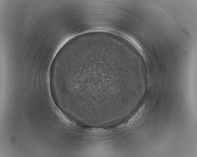 X0000112800907200909041430